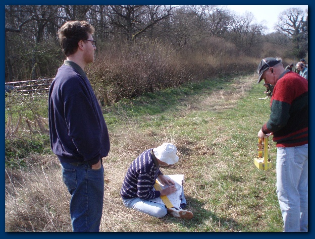 600x449 pixels (181K)